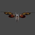 Colorful Moth With Detailed Eyes And Patterned Wings In Flight