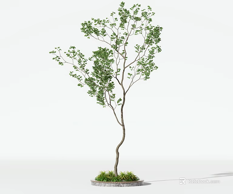 Potted Arbor with Green Leaves and Grass Base in White Background 3d model 