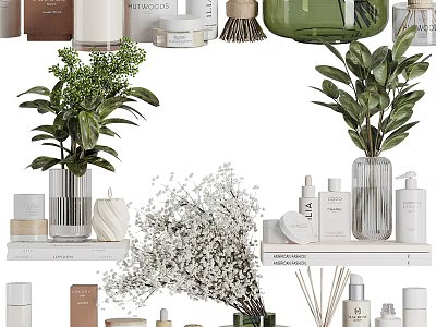 Dishwashing Liquid Bottles Skincare Items Natural Candles and Potted Plants on Shelves 3d model