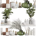 Dishwashing Liquid Bottles Skincare Items Natural Candles and Potted Plants on Shelves