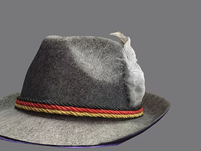 Gray Woolen Hat With Red Yellow Black Braided Band And Feather Accent 3d model