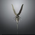 Detailed 3D Rendered Insect Model With Large Wings Slender Body And Antennae