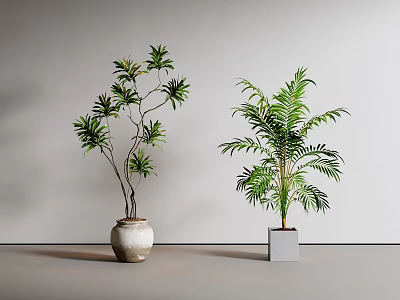 Bonsai and Potted Green Plants with Ceramic Pot and Square Planter for Indoor Decor 3d model