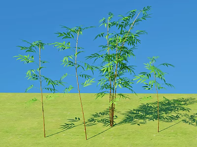 Bamboo Plants of Various Heights with Green Leaves Growing in Green Grass Under Blue Sky 3d model