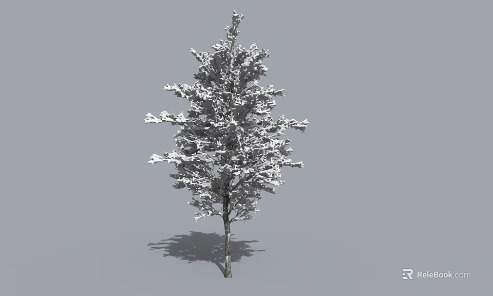 Arbor Featuring Lush Foliage and Slender Trunk Against Simple Gray Background 3d model