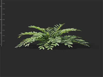 Lush Green Shrub with Vibrant Foliage and Spreading Growth in Garden Landscape 3d model