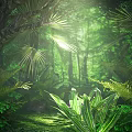 Lush Tropical Rainforest Landscape With Tall Trees Palm Leaves Sunlight And Ferns