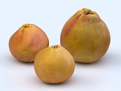 Three Ripe Grapefruits With Yellowish Orange And Red Hues On White Background 3d model