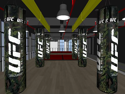 UFC Themed Fitness Gym Interior With Camo Punching Bags And Wooden Floors 3d model
