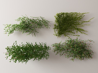 Modern Vine 3d model