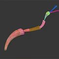 Detailed Organ And Hair Structure 3D Rendering With Red Tubular Elements On Dark Background