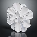 White Flower with Black Edged Petals on Dark Background Showing Reflection 3d model