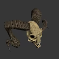 Ram Skull With Curved Textured Horns And Detailed Bone Structure In Shadow
