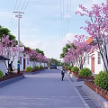 Scenic Rural Road Lined With Pink Cherry Blossom Trees White Houses And Walking Person