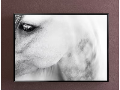Black And White Horse Eye Close Up Animal Painting Framed Wall Art With Detailed Texture 3d model