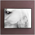 Black And White Horse Eye Close Up Animal Painting Framed Wall Art With Detailed Texture