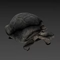 Giant Turtle Game Movie Character With Realistic Rough Shell And Textured Skin