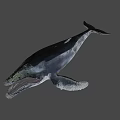 Humpback Whale With Open Mouth And Visible Baleen Plates Against Dark Deep Ocean Background