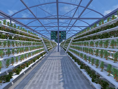 Greenhouse Interior With Vertical Plant Racks And Lush Growing Vegetables Under Transparent Roof 3d model