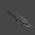 Realistic 3D Crocodile Model With Detailed Skin Texture And Lifelike Pose