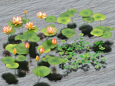 Vibrant Aquatic Plants Water Lilies Lily Pads With Yellow Pink Flowers Floating on Water 3d model