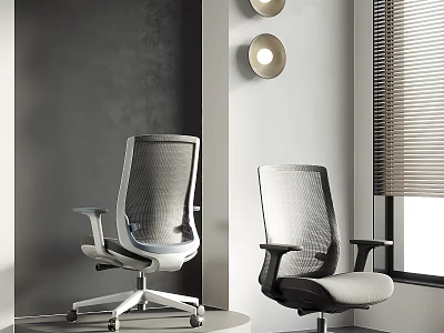 Modern Ergonomic Mesh Office Chairs With Contrasting Colors In Contemporary Interior 3d model