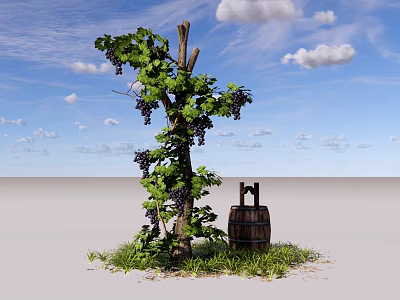 Modern Vine Shrub Grape Vine Plant Landscape Tree 3d model