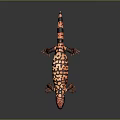 Lizard Anime Lizard Cartoon Lizard Reptile Cold Blooded Animal Reptile 3d model