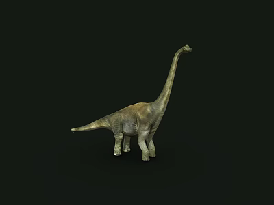 Sauropod Dinosaur With Long Neck And Tail Isolated On Black Background 3d model
