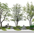 Arboreal Trees in Natural Landscape Design with Stones and Green Shrubs