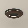 Modern Round Flush Mount Ceiling Light With Wooden Brown Outer Ring And LED Strip 3d model