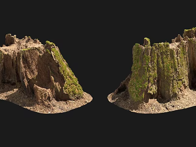 Natural Stone and Wood Stumps with Moss Covered Surfaces and Earthy Textures 3d model