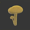 Orange Mushroom with Large Cap and Smaller Mushroom Growing on Gray Background