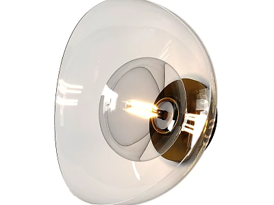 Modern Glass Wall Light With Transparent Shade And Polished Metal Base 3d model