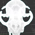 Animal Skull With Intricate Bone Structure And Jaw Features 3d model