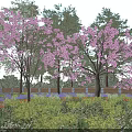 Beautiful Flowering Trees With Pink Blossoms In Garden Landscape With Green Plants