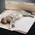 Adorable Tabby Cat Lying Comfortably On Soft Carpet With Beige Mat