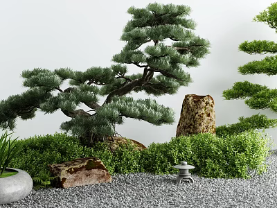 Japanese Courtyard Garden with Shaped Pine Tree Green Shrubs and Stone Lantern on Gravel Ground 3d model