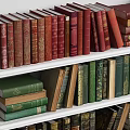 Colorful Books Collection On White Bookshelves With Varied Sizes And Bindings