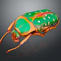 Vibrant Green and Orange Beetle With White Spots On Shiny Exoskeleton