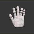 Pink Human Hand Organ 3D Model With Segmented Joints On Black Background 3d model