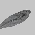 Ancient Aquatic Reptile Fossil Skeleton As Game Movie Character Inspiration