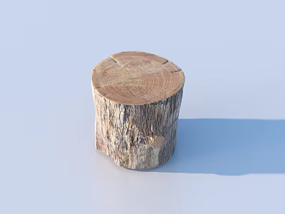 Natural Rustic Wooden Tree Stump Stool with Wood Grain Texture for Home Decor 3d model