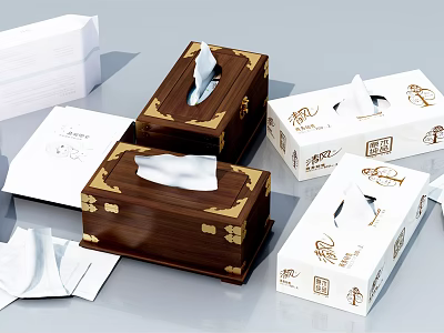 Wooden And White Patterned Tissue Boxes With Gold Accents For Daily Necessities 3d model