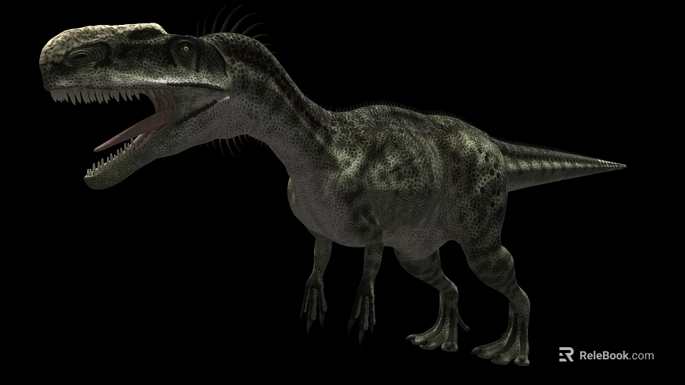 Realistic Reptile Dinosaur With Open Mouth Sharp Teeth And Scaly Skin Standing On Black Background 3d model 