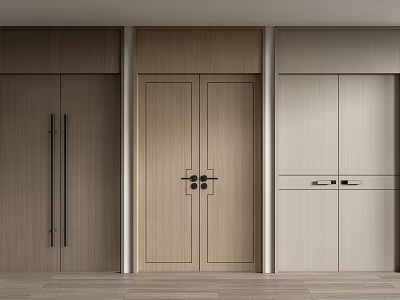 Modern Wooden Double Doors Design With Different Tones And Sleek Handles For Home Interior 3d model