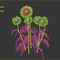 Bright Yellow Sunflowers With Green Stems And Leaves On Gray Background