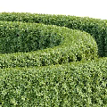 Well Trimmed Green Hedges With Four Columnar Structures And Spiral Maze For Garden Landscaping