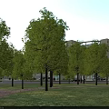 Modern Hospital Building Exterior Design With Glass Facade And Main Entrance Parking Area
