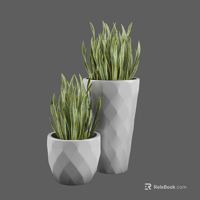 Green Striped Long Leaf Potted Plants in Geometric White Pots of Different Sizes 3d model 